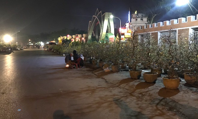 Trắng đêm ngồi co ro đốt củi sưởi ấm để canh đào, quất, hoa Tết